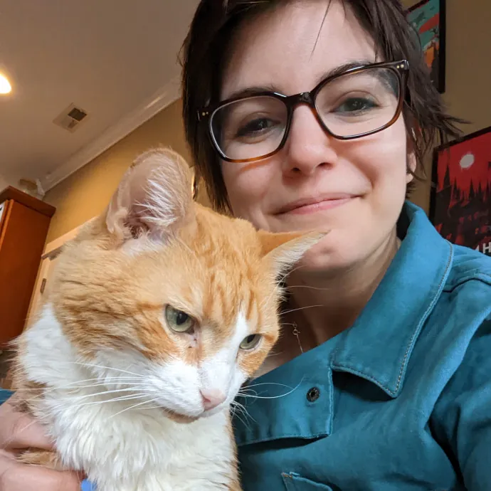 Laura J's Chicago Cat Care