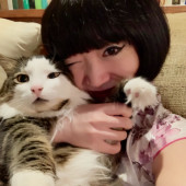 New In Town Reliable Friendly Cat Sitter