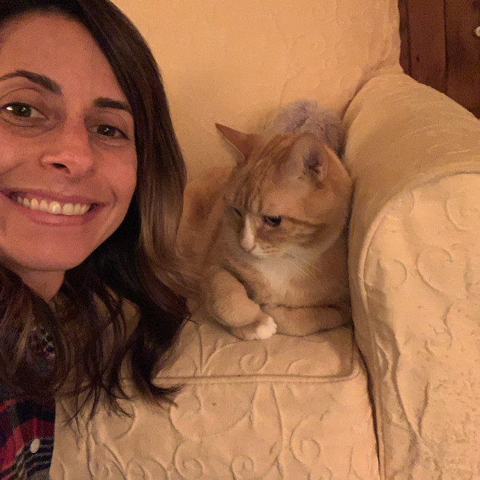 Reliable Loving Cat Care