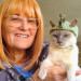 The Royal Kitty Kingdom Pet Sitting
