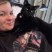 Your Cat's New Favorite Sitter