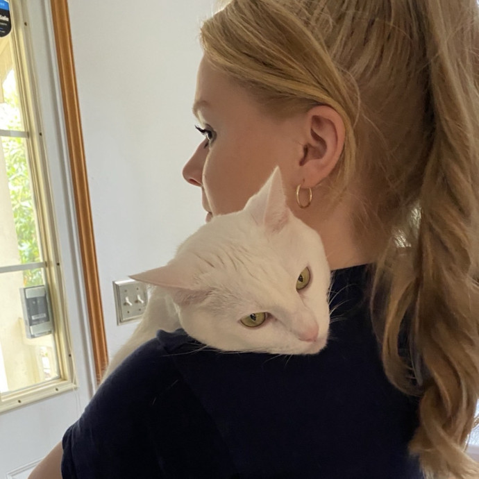 For Cats Who Run The House