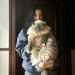 Crazy Cat Lady