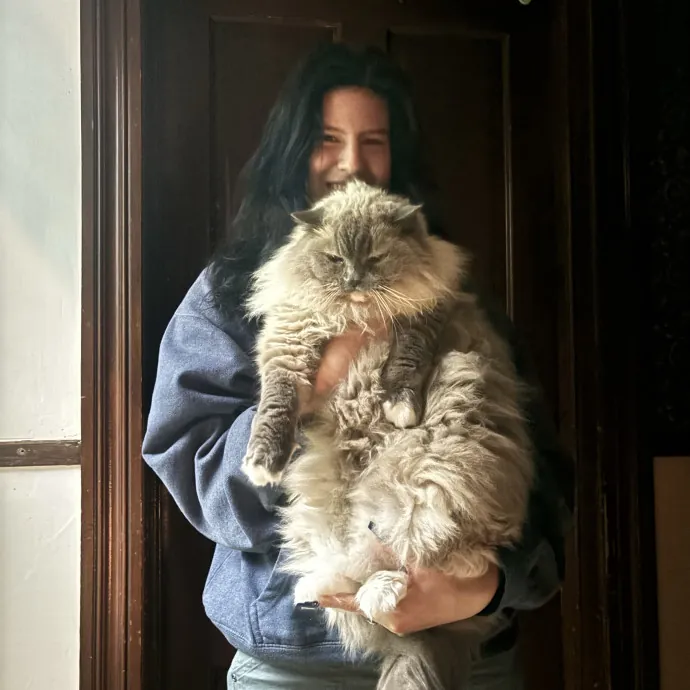 Crazy Cat Lady