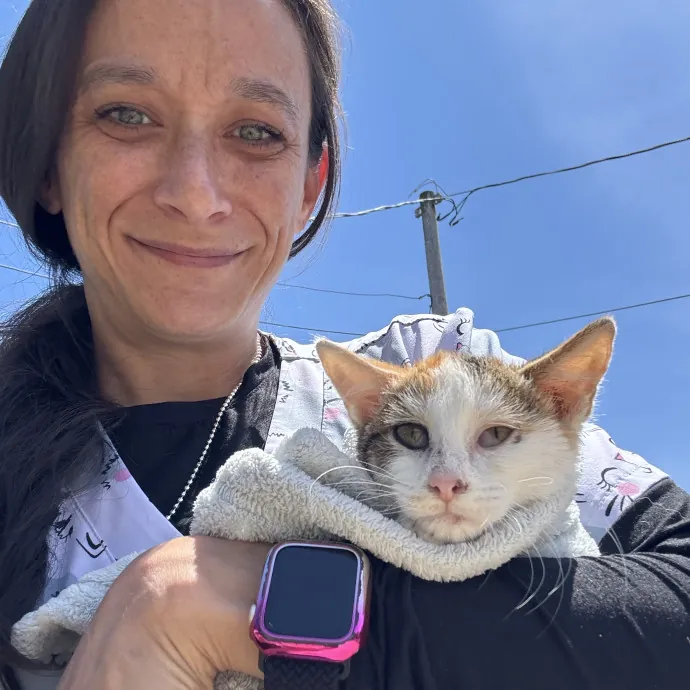 Kitty Loving Vet Tech