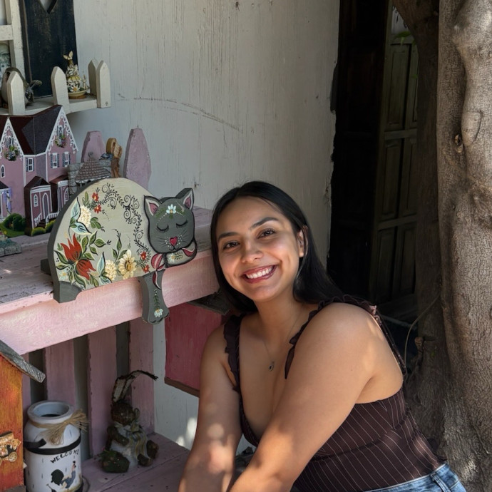 Your Local Crazy Cat Lady