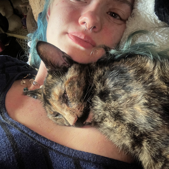 The Purr-Fect Sitter