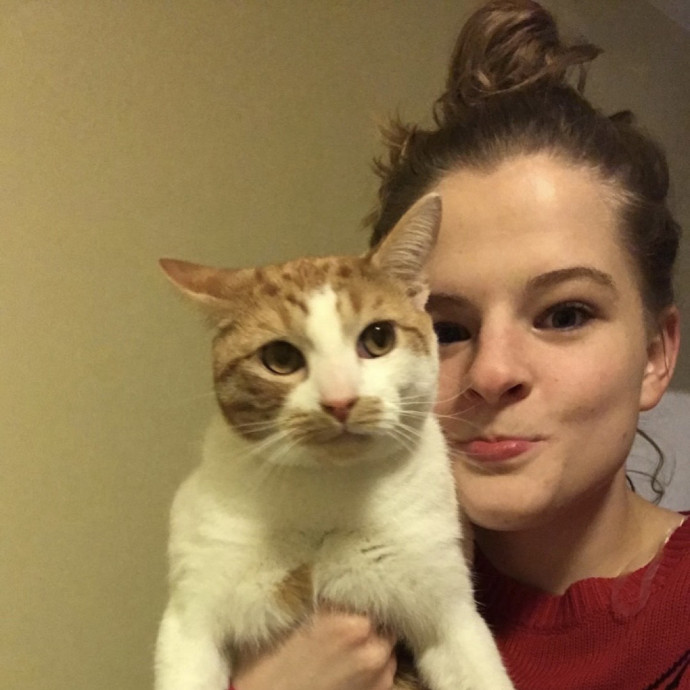 Cat Care  Medication Experience