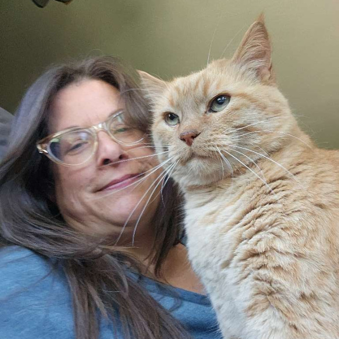 The House Kat Purrfect Cat Care