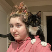 Flexible Schedule Cat Sitter