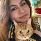 Pawsitively The Best Care