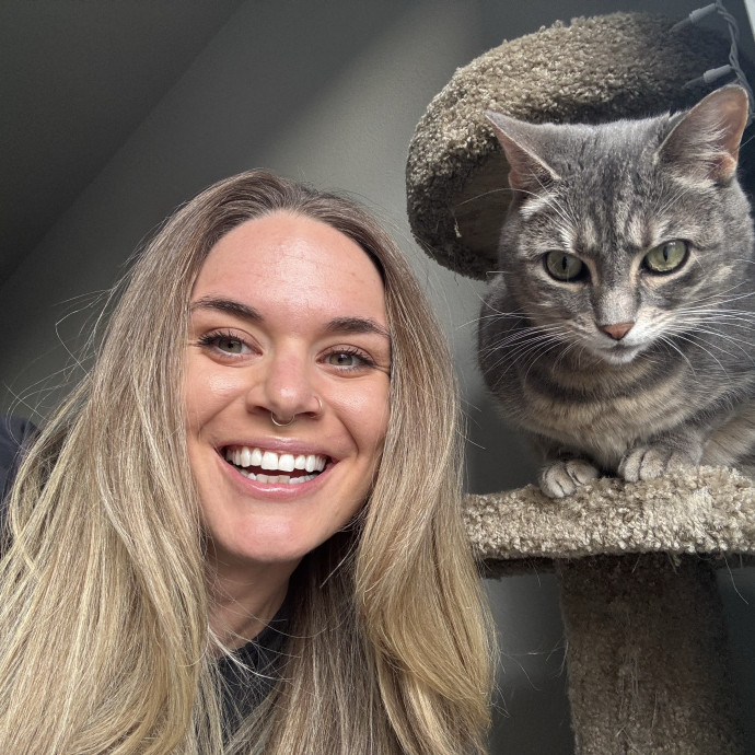 Cat Sitter