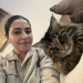 Gentle Cat Sitter