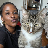 Caring For Cats Uptown While You're Out Of Town