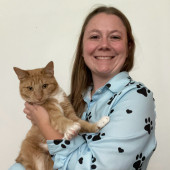 The Rvt Cat Sitter