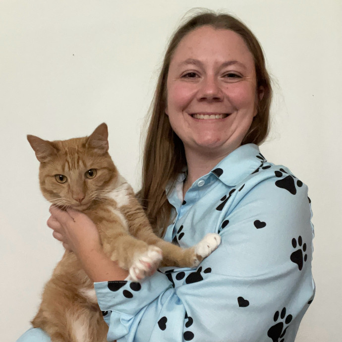 The Rvt Cat Sitter The Rvt Cat Sitter