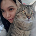 Cat Sitting In Walnut Creek