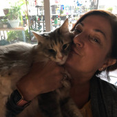 Trusted Cat Whisperer  Loving Sitter
