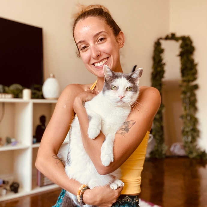 Your Cat's New Bestie Your Cat's New Bestie