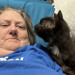 Cat Lover