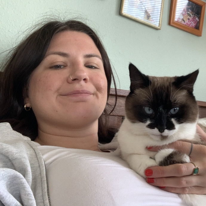 Highly Rated By Cats