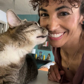 I Would Love To Care For Your Kitty Cat