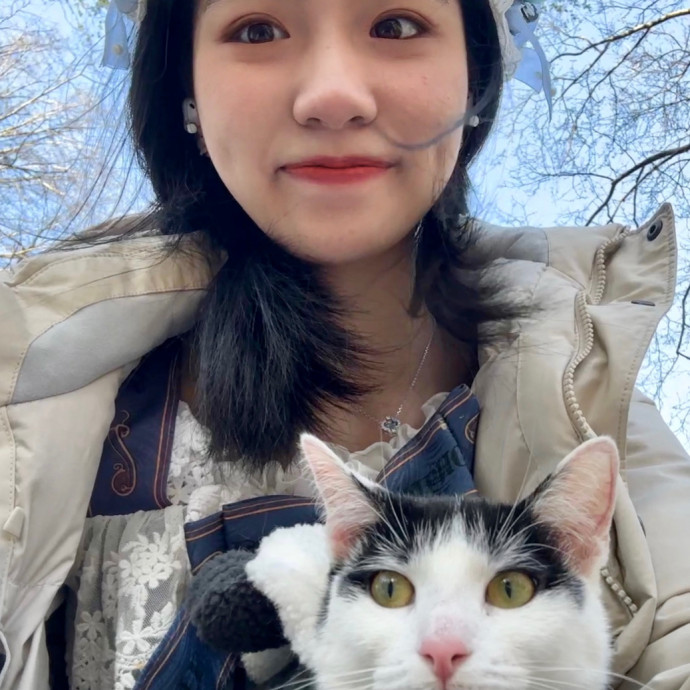 Gentle Reliable Cat Sitter