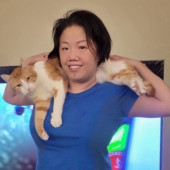 Nyc Cat Mama Looking 2 Cat Sit 4 You