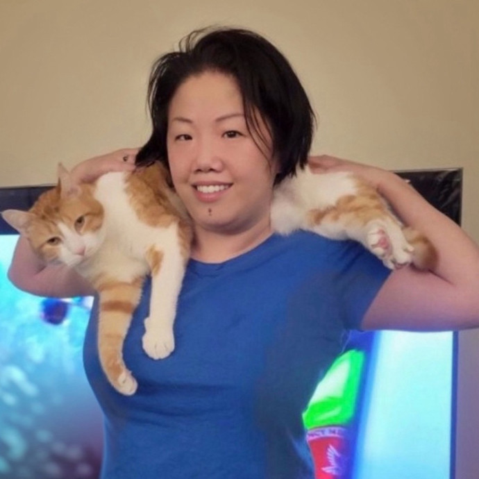 Nyc Cat Mama Looking 2 Cat Sit 4 You