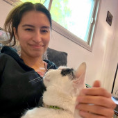 Lianna's Furry Feline Care