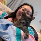 Caring For Your Pet Like Family
