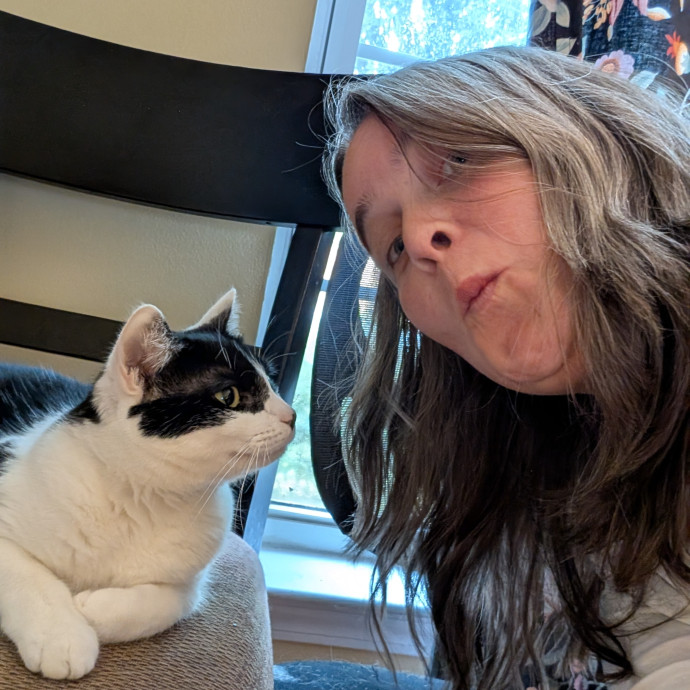 Allie Cats Allie Cats