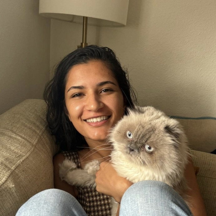 New To Meowtel Experienced Sitter