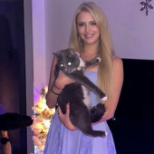 The Kitty Concierge By Lauren