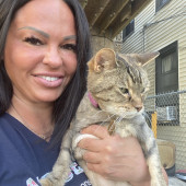 Professional Cat Spoiler At Your Service