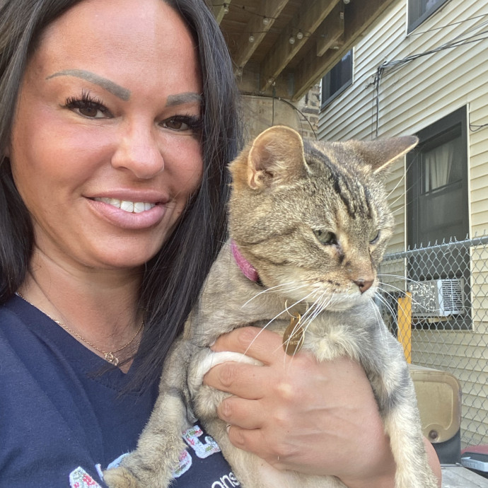 Professional Cat Spoiler At Your Service