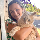 Your Feline-Approved Sitter