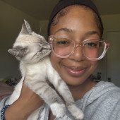 Your Kitty's Temporary Bestie