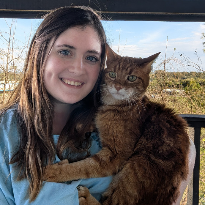 Brianna's Cool Cats And Kittens Care