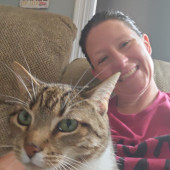 Cat Cuddler To Woo Your Fur Baby