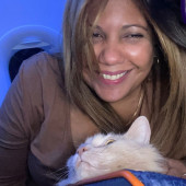 Caring  Reliable Cat Sitterloving Cat S