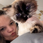 Your Cat's Best Friend
