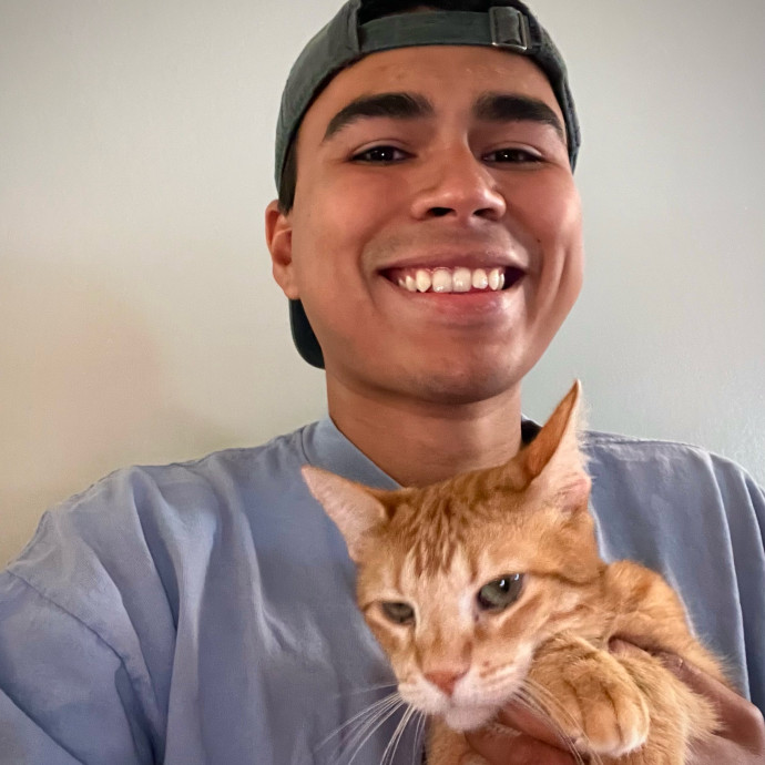 Mr Meow