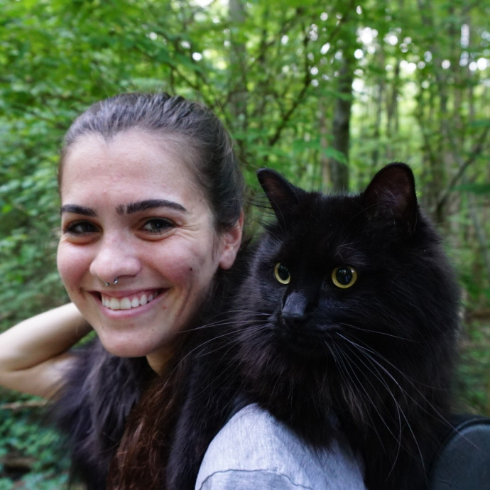 Professional Cat Sitterlovingreliable