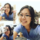 Full Time Sitterformer Vet Tech