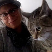 Kathy's Kalamazoo Purrfect Cat Care