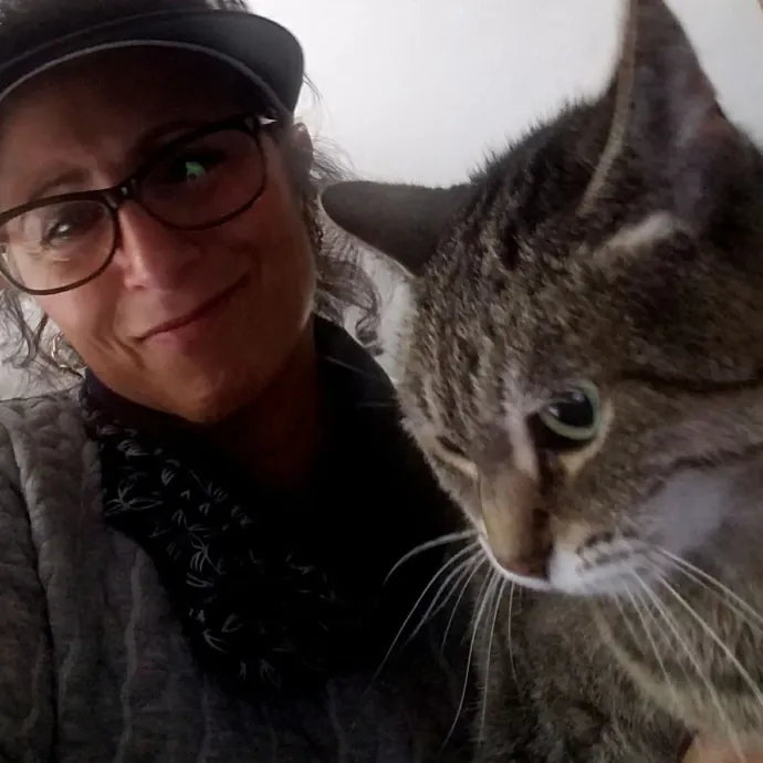 Kathy's Kalamazoo Purrfect Cat Care