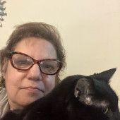 Long Time Cat Lover