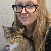 In-Your-Home Cat Care  Visits