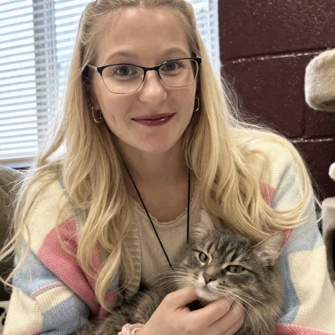 Loving Care For Every Kitty Personality